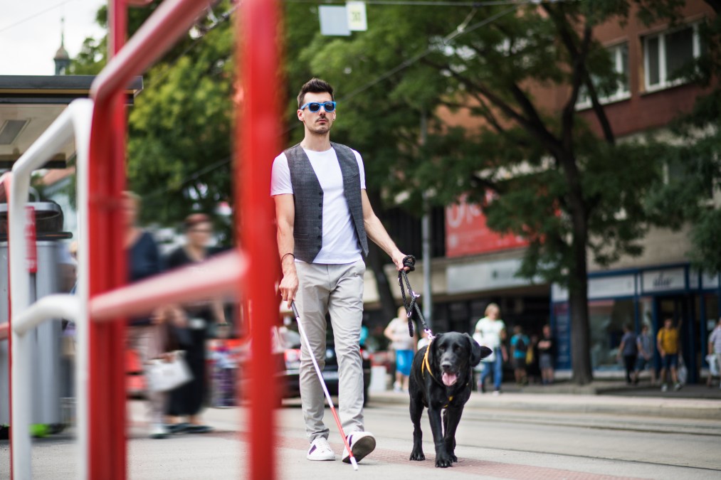 blind guy with a dog