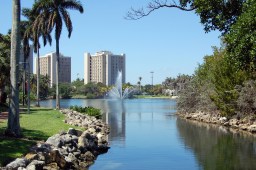 University of Miami campus