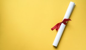diploma with red ribbon on yellow background