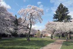 UW campus