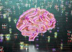digital brain